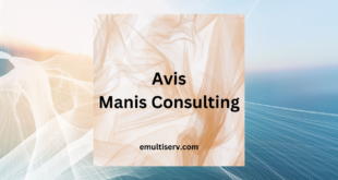 manis consulting